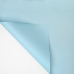 06#