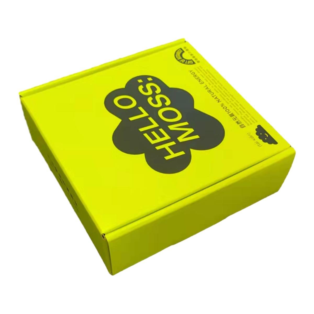 Eco Friendly Color Printing mailer corrugated paper box custom wholesale garment shoes shipping carton packaging cardboard box