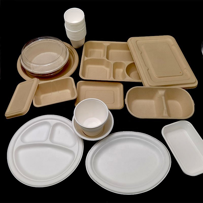 Kingwin Eco clamshell take away sugarcane bagasse 100% biodegradable food packaging containers