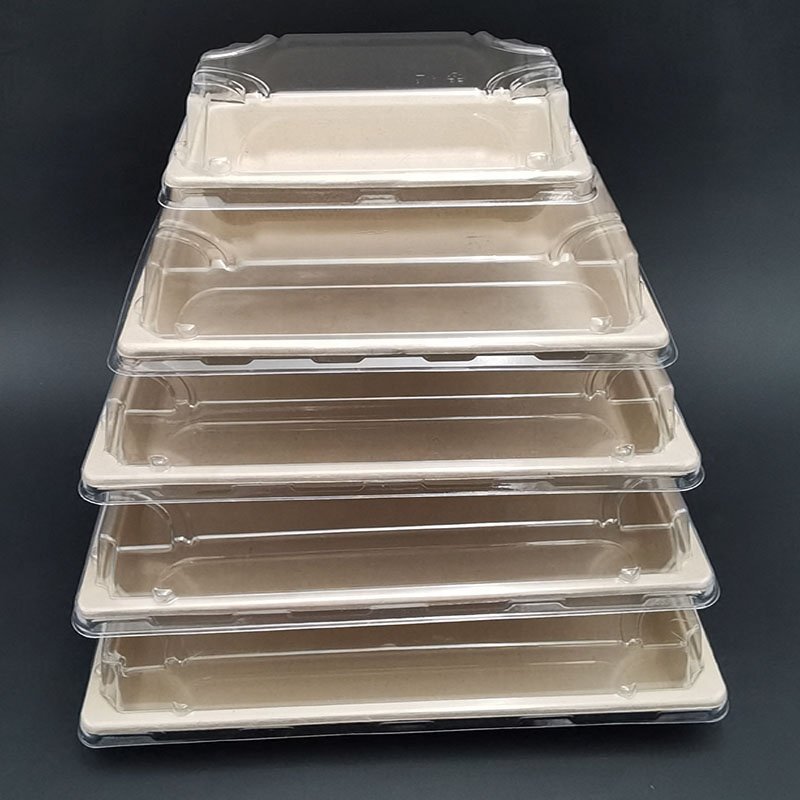 Kingwin Eco clamshell take away sugarcane bagasse 100% biodegradable food packaging containers