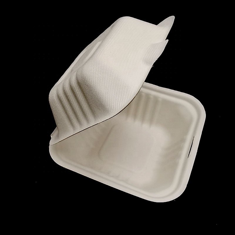 Kingwin Eco clamshell take away sugarcane bagasse 100% biodegradable food packaging containers