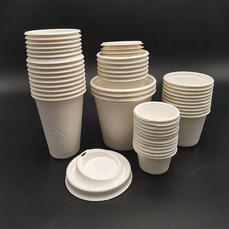 Kingwin Eco clamshell take away sugarcane bagasse 100% biodegradable food packaging containers