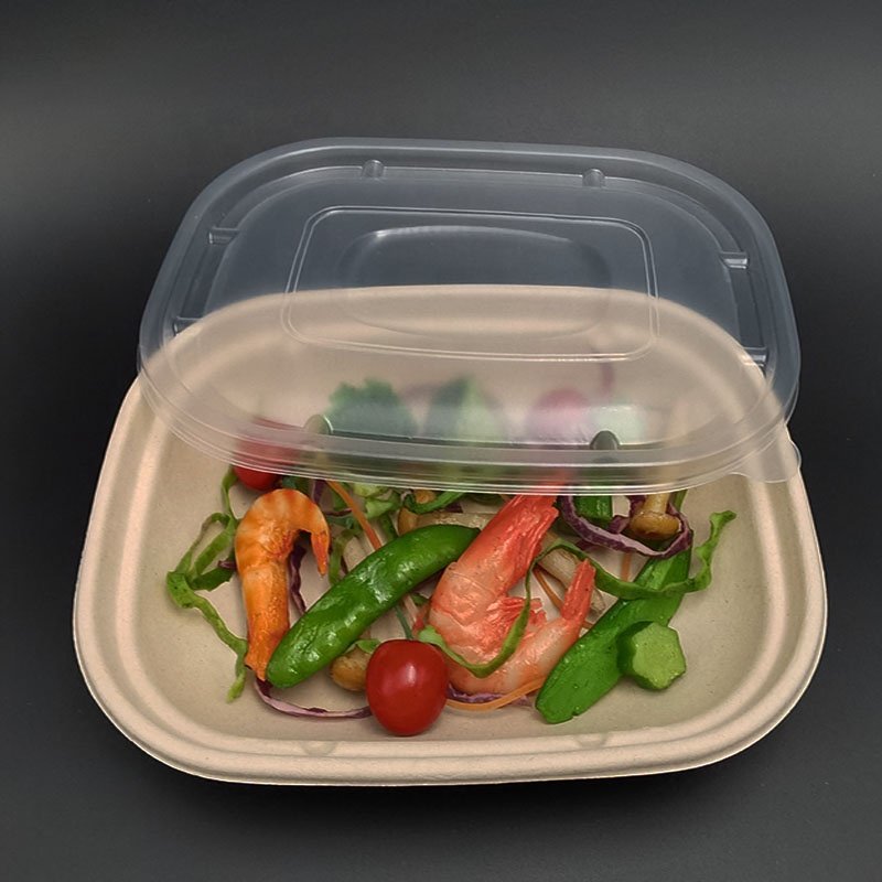 Kingwin Eco clamshell take away sugarcane bagasse 100% biodegradable food packaging containers