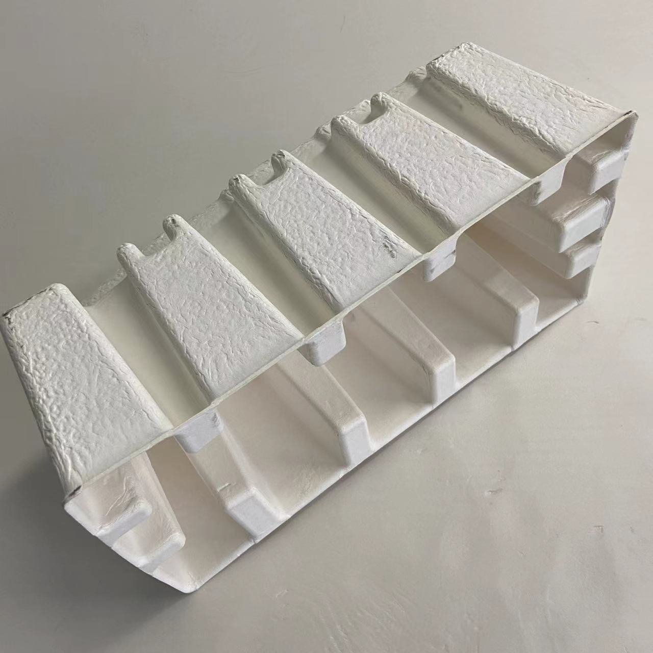 Paper Pulp Tray Packaging Mold Inserts Food Nature Customized 1000 Pcs Hanwell CN;SHN
