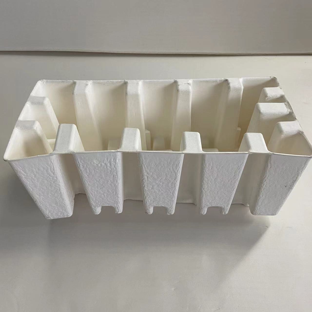 Paper Pulp Tray Packaging Mold Inserts Food Nature Customized 1000 Pcs Hanwell CN;SHN