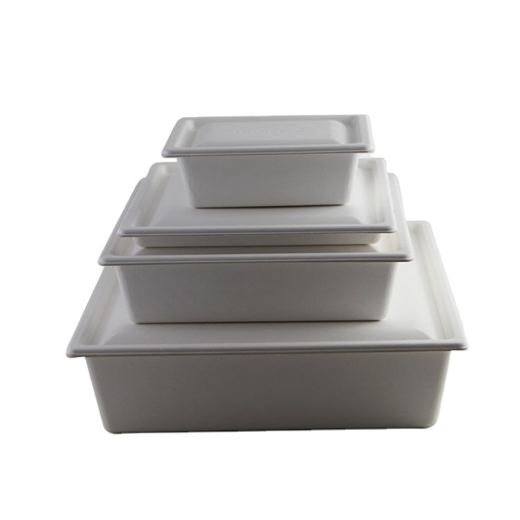 Eco Friendly Sugar Cane Packaging Paper Pulp Storage Box