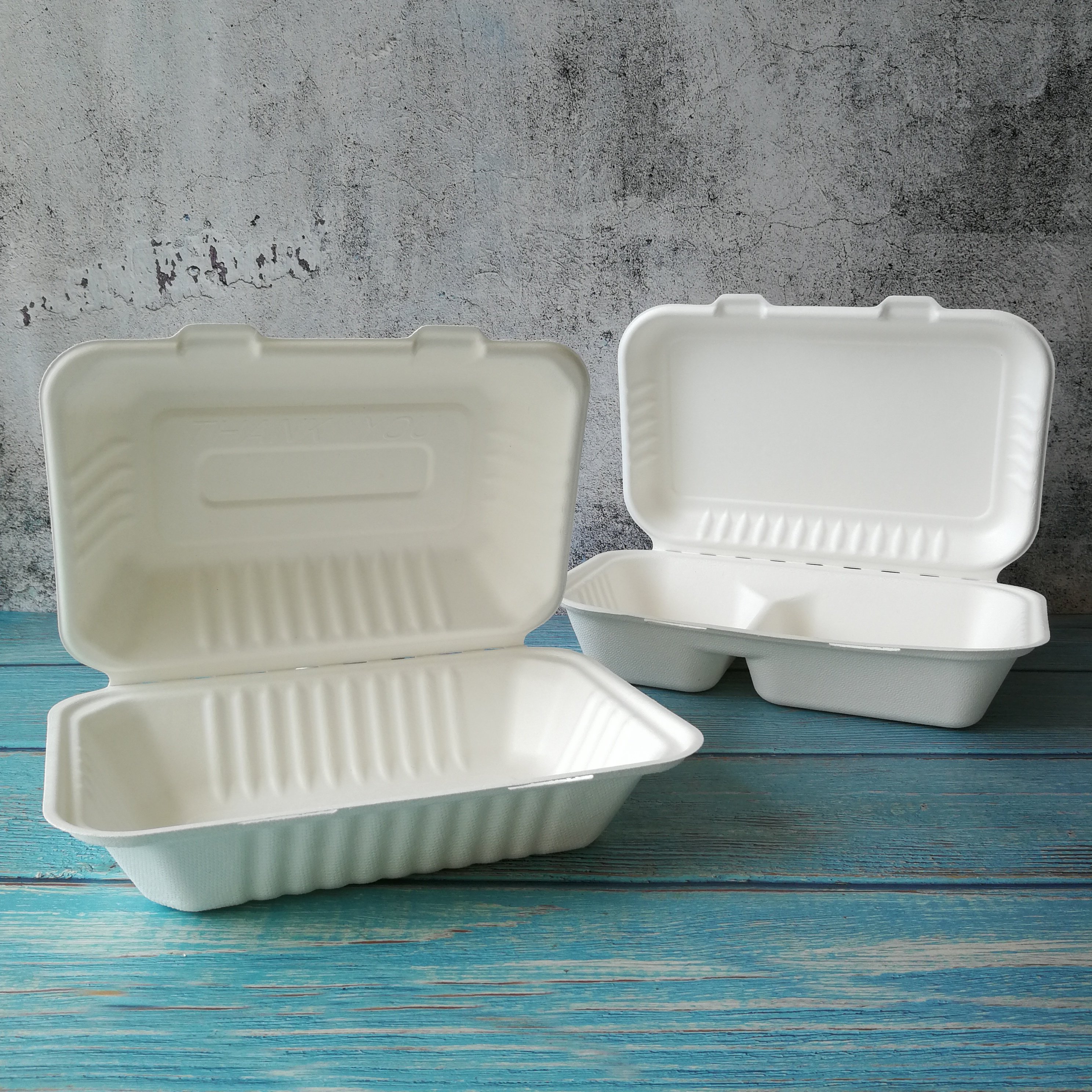 100% Biodegradable Compostable Clamshell Hinged Food Container Lunch Box