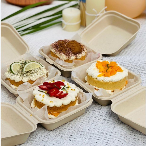 100% Biodegradable Compostable Clamshell Hinged Food Container Lunch Box