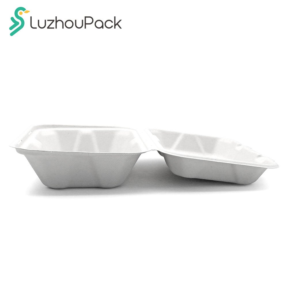 Luzhoupack Customized Disposable Biodegradable packaging Sugarcane Bagasse Pulp Eco Friendly Package Box packaging For Food