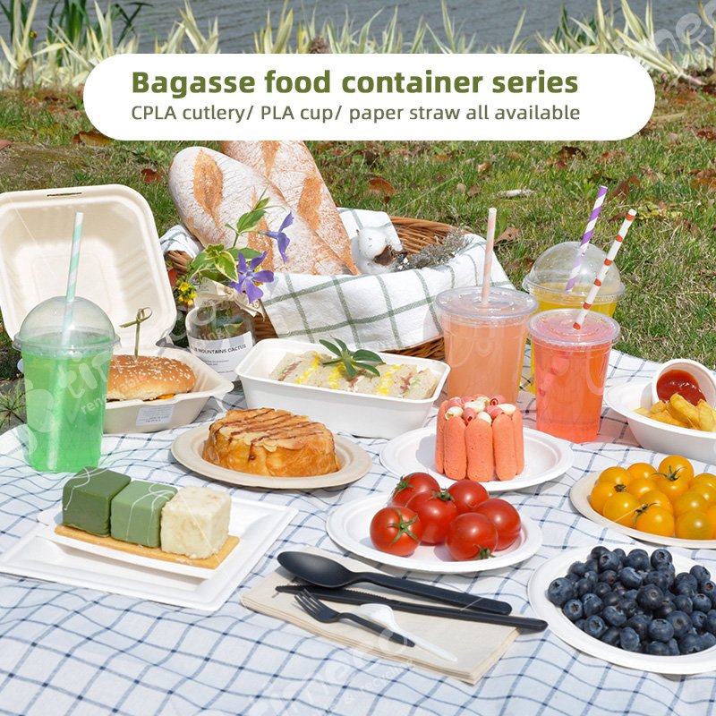 Bagasse Biodegradable Food Container Sugarcane Hamburger Box 6 Inch All Size Clamshell Box paper box packaging