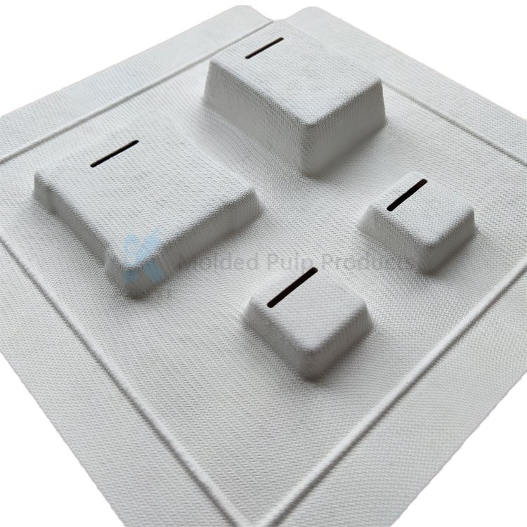 Biodegradable Molded Bagasse Sugarcane Paper Pulp Tray Packaging Insert