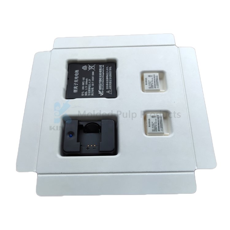 Biodegradable Molded Bagasse Sugarcane Paper Pulp Tray Packaging Insert