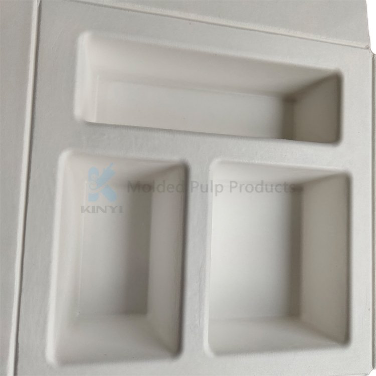 Biodegradable Molded Bagasse Sugarcane Paper Pulp Tray Packaging Insert