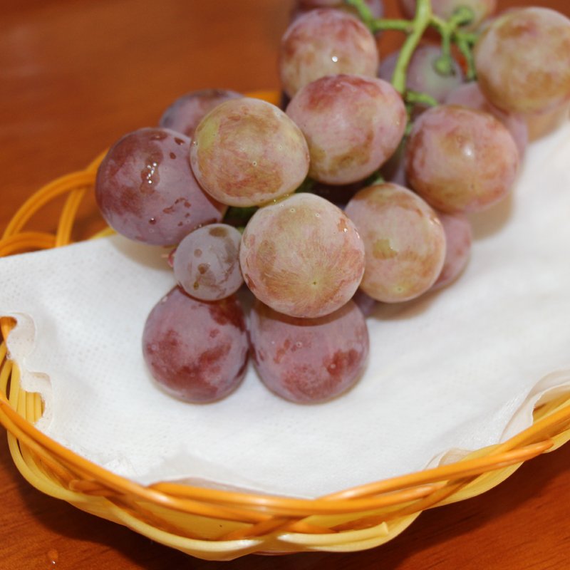 biodegradable vegetable fruit seafood water absorption absorbent pad for fruit packaging