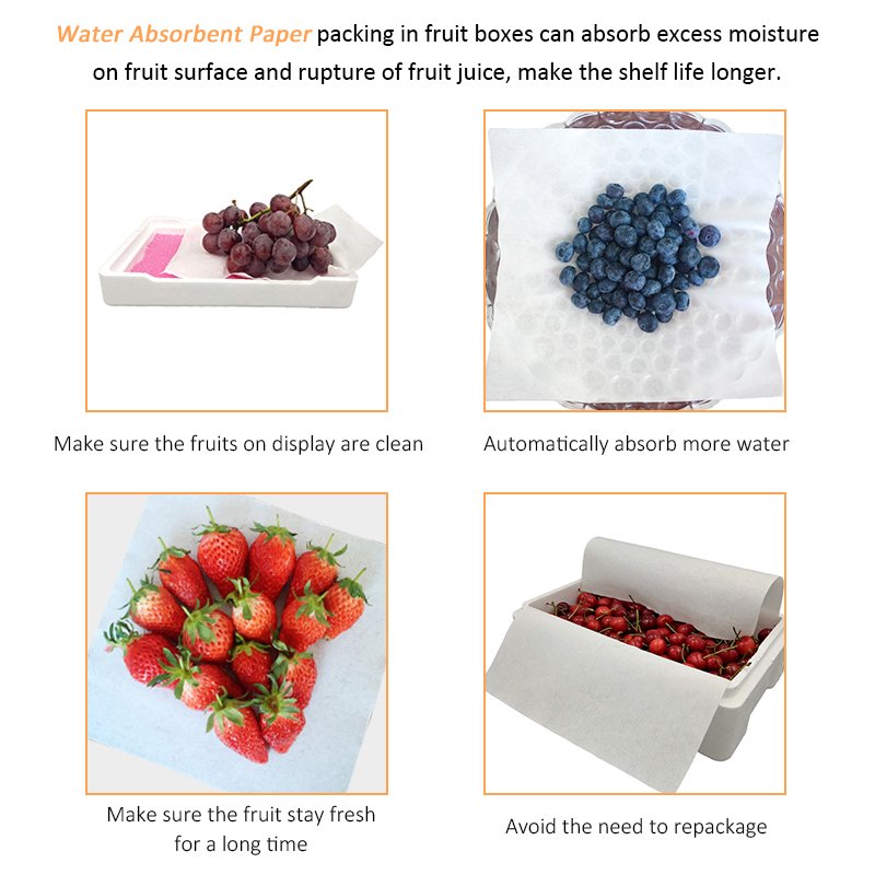 biodegradable vegetable fruit seafood water absorption absorbent pad for fruit packaging