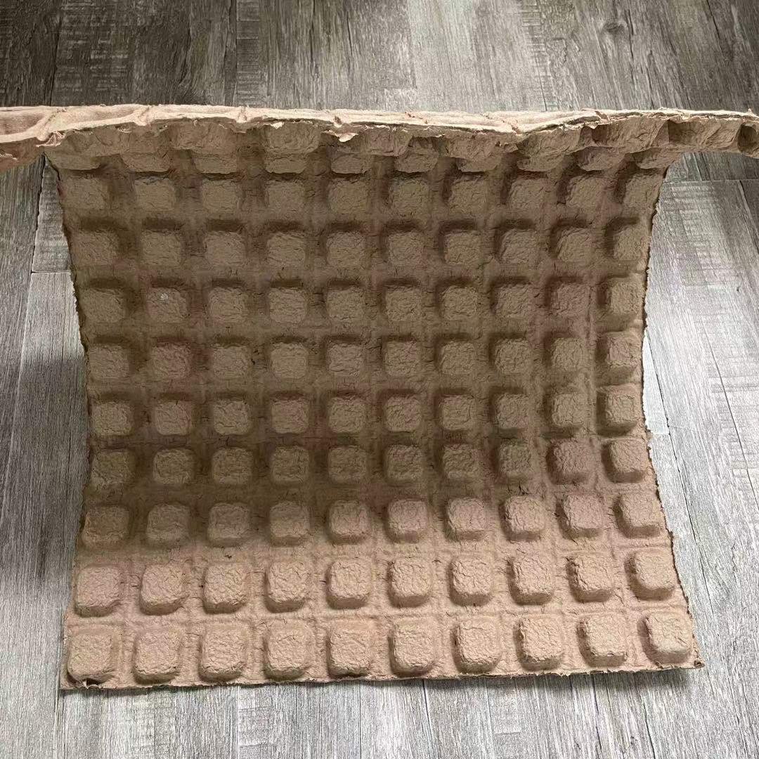 Biodegradable molded paper shipper protective pulp packaging