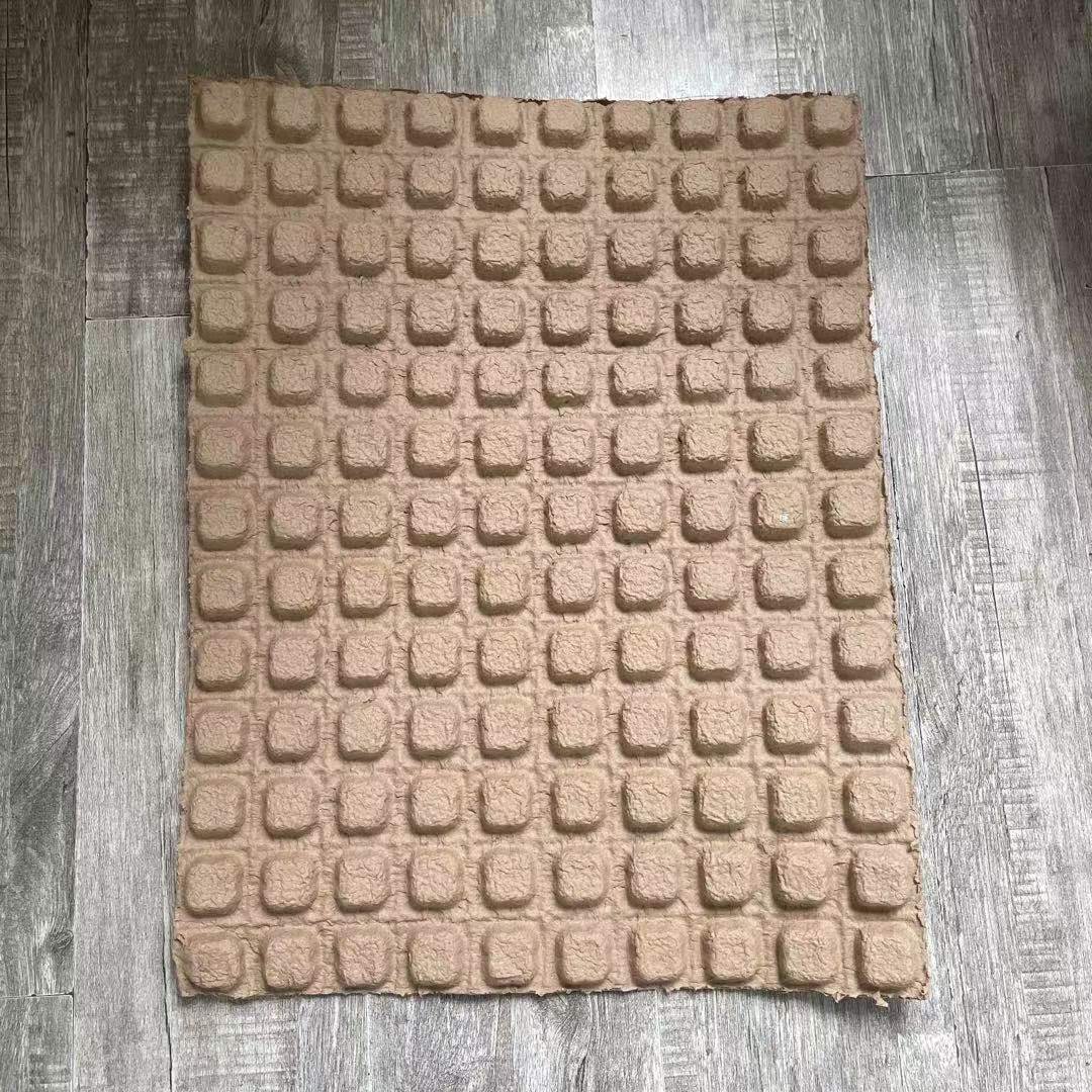 Biodegradable molded paper shipper protective pulp packaging