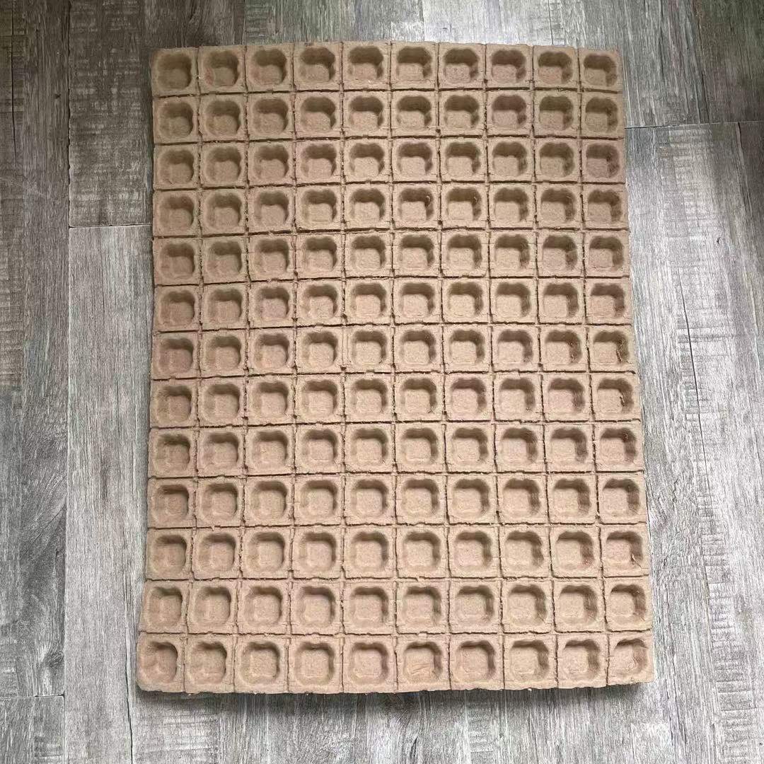 Biodegradable molded paper shipper protective pulp packaging