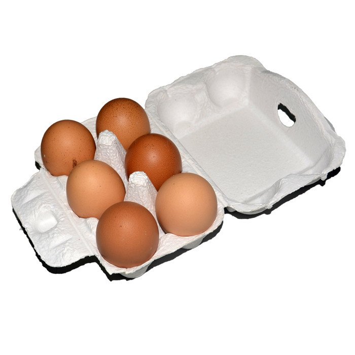 Wholesale Egg Carton Paper Egg Carton 6Hole Pulp Packaging Paper Trays For Egg