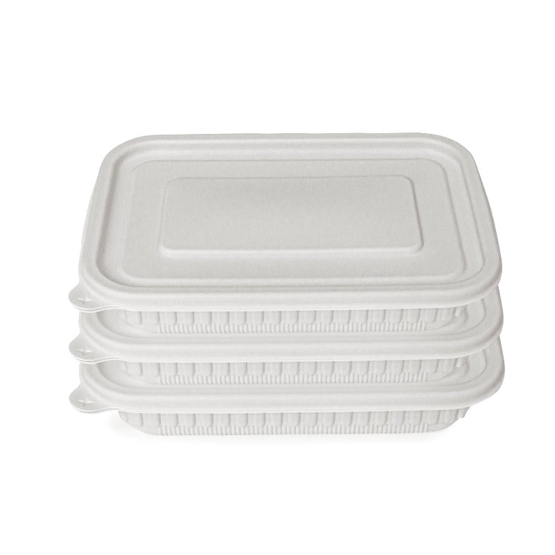 Factory Price Cormstarch Plastic PLA Container Biodegradable Disposable Lunch Box