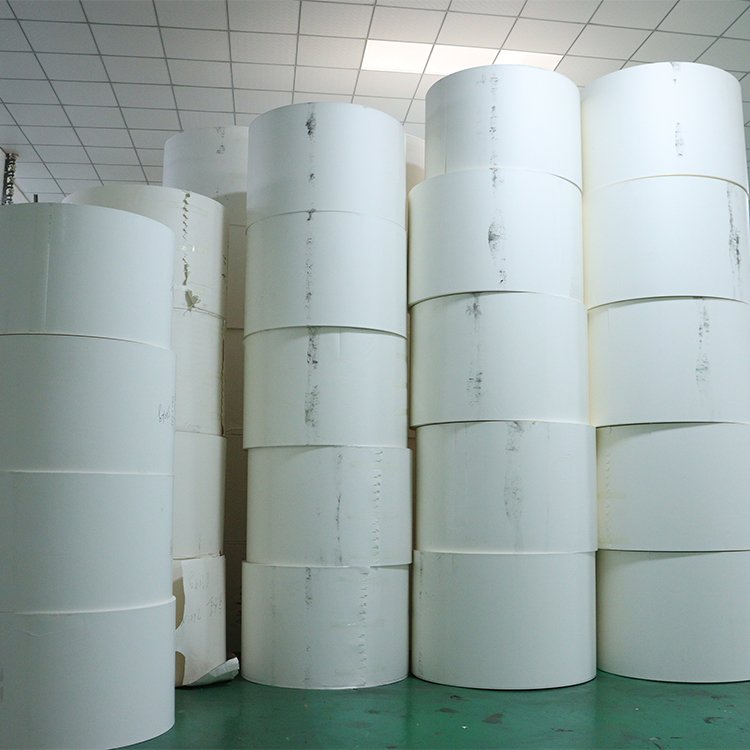 Paper Rolls Manufacturing Cup Paper Raw Material 190gsm 210gsm 240gsm 260gsm PE Coated Paper in Roll