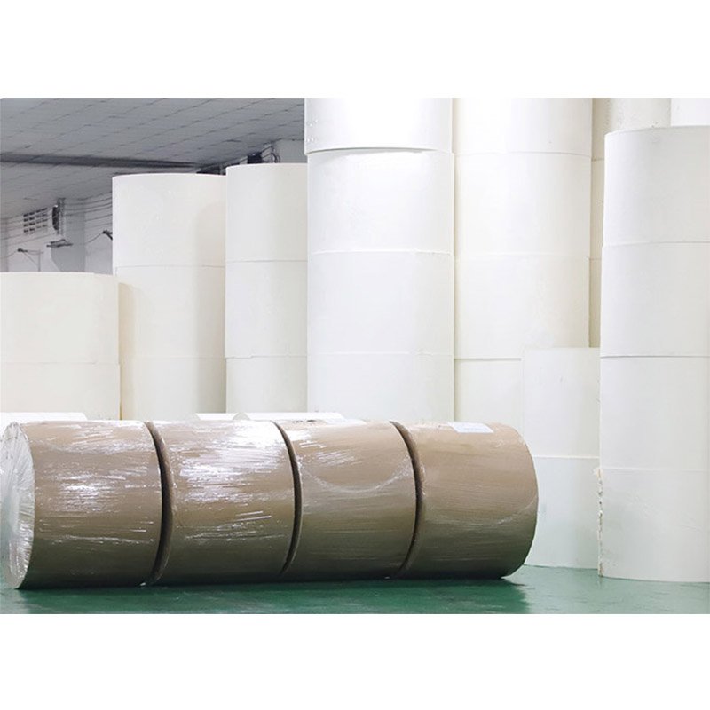 Paper Rolls Manufacturing Cup Paper Raw Material 190gsm 210gsm 240gsm 260gsm PE Coated Paper in Roll