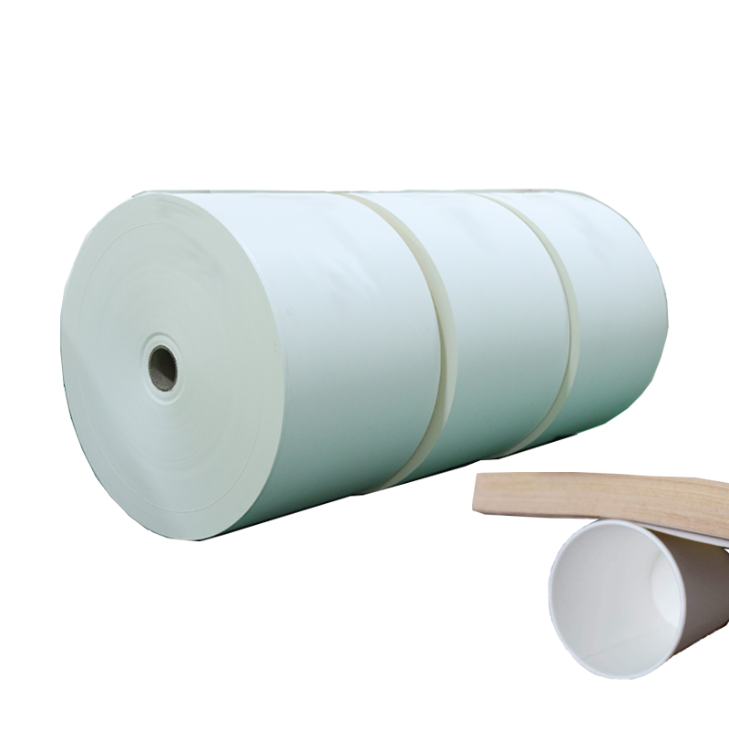Paper Rolls Manufacturing Cup Paper Raw Material 190gsm 210gsm 240gsm 260gsm PE Coated Paper in Roll