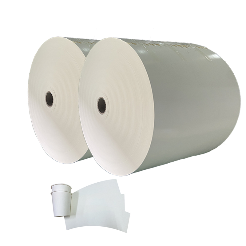 Paper Rolls Manufacturing Cup Paper Raw Material 190gsm 210gsm 240gsm 260gsm PE Coated Paper in Roll