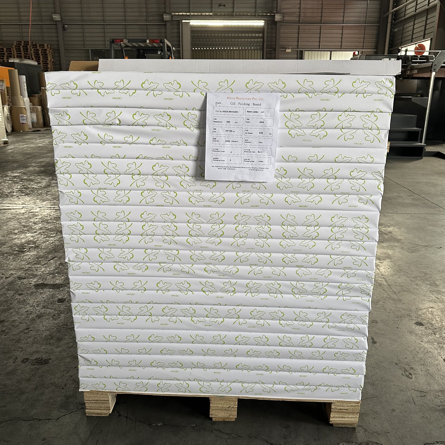 Zenith brand High Bulk C1S/Coated Ningbo Fold FBB/Folding Box Board/Ivory Board from APP mill