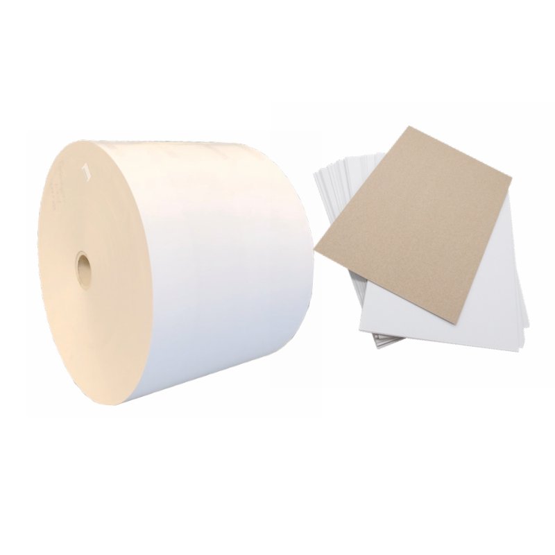 China Professional single sided pe coated paper for paper cup paper with Best quality