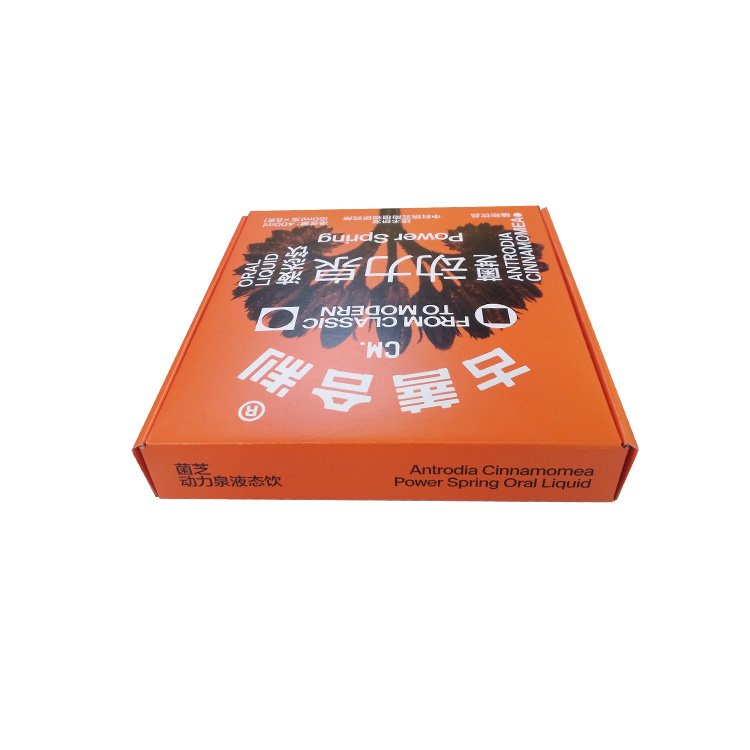 Custom Oral Liquid Airplane Paper Box High Quality Medicine Glass Bottle Package Box Rectangle Airplane Corrugated Paper Box