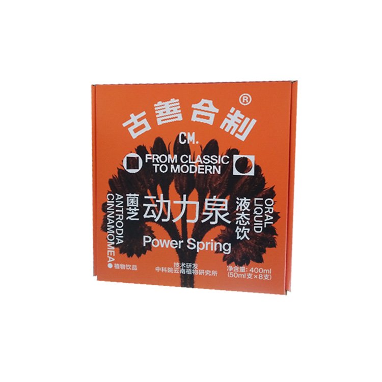 Custom Oral Liquid Airplane Paper Box High Quality Medicine Glass Bottle Package Box Rectangle Airplane Corrugated Paper Box