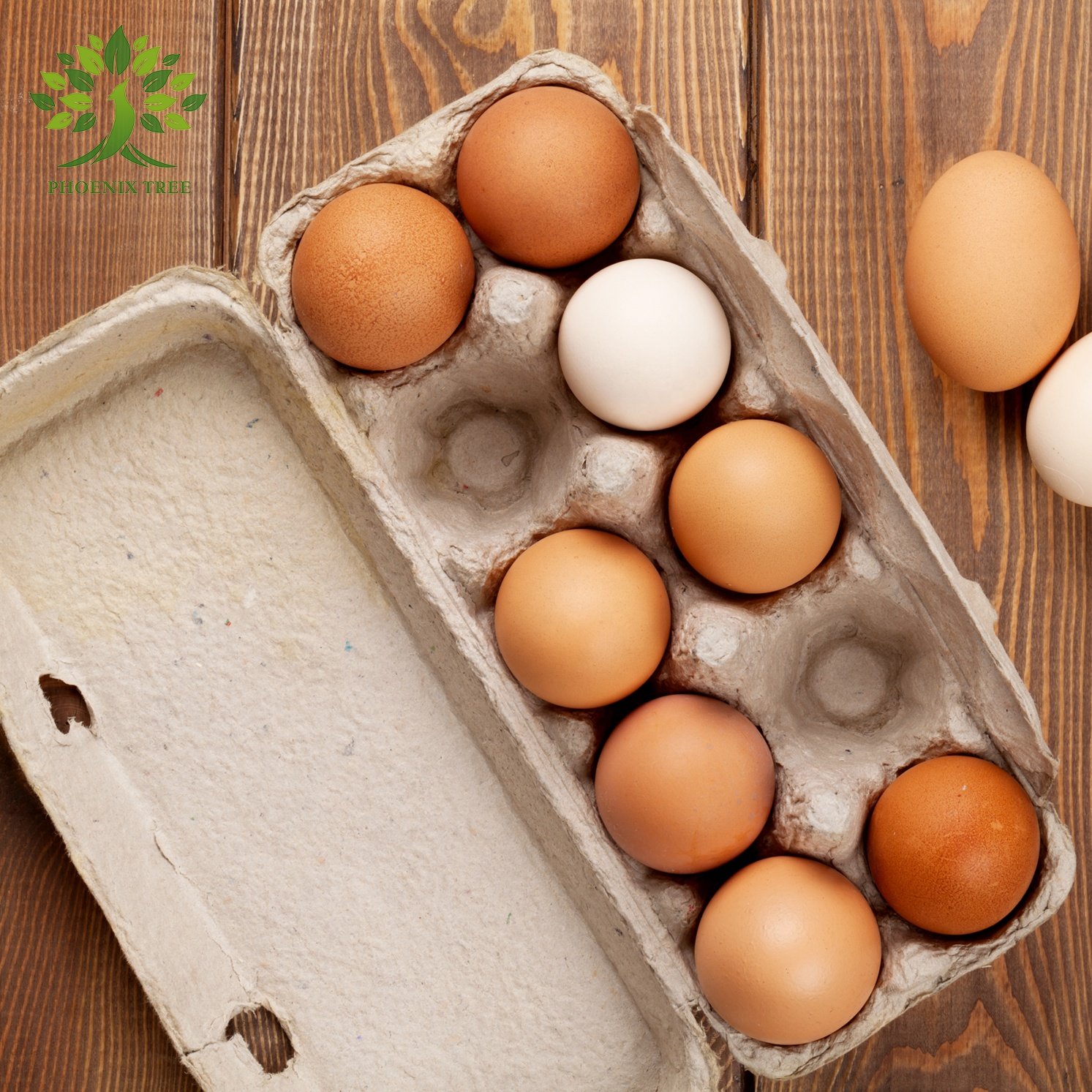 Biodegradable 10 egg carton paper cardboard egg cartons pulp customized egg crate