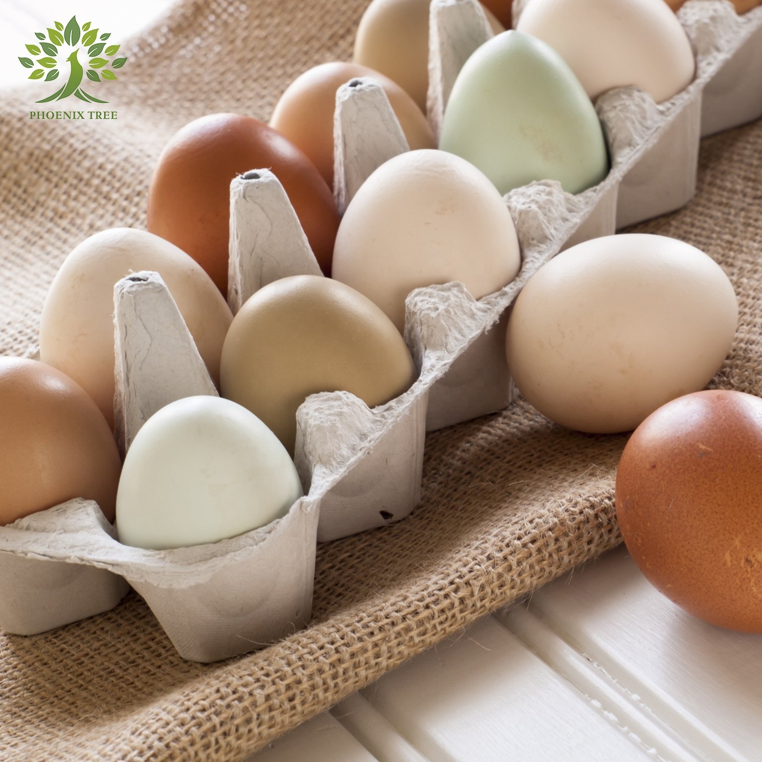 Biodegradable 10 egg carton paper cardboard egg cartons pulp customized egg crate