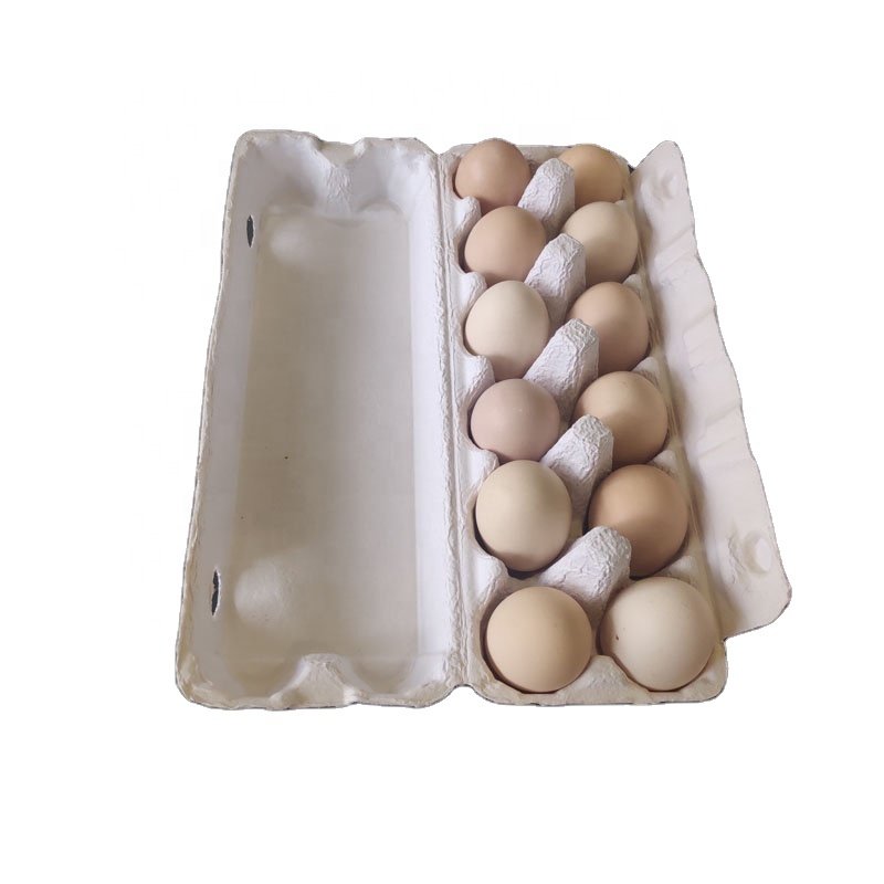 Biodegradable 10 egg carton paper cardboard egg cartons pulp customized egg crate