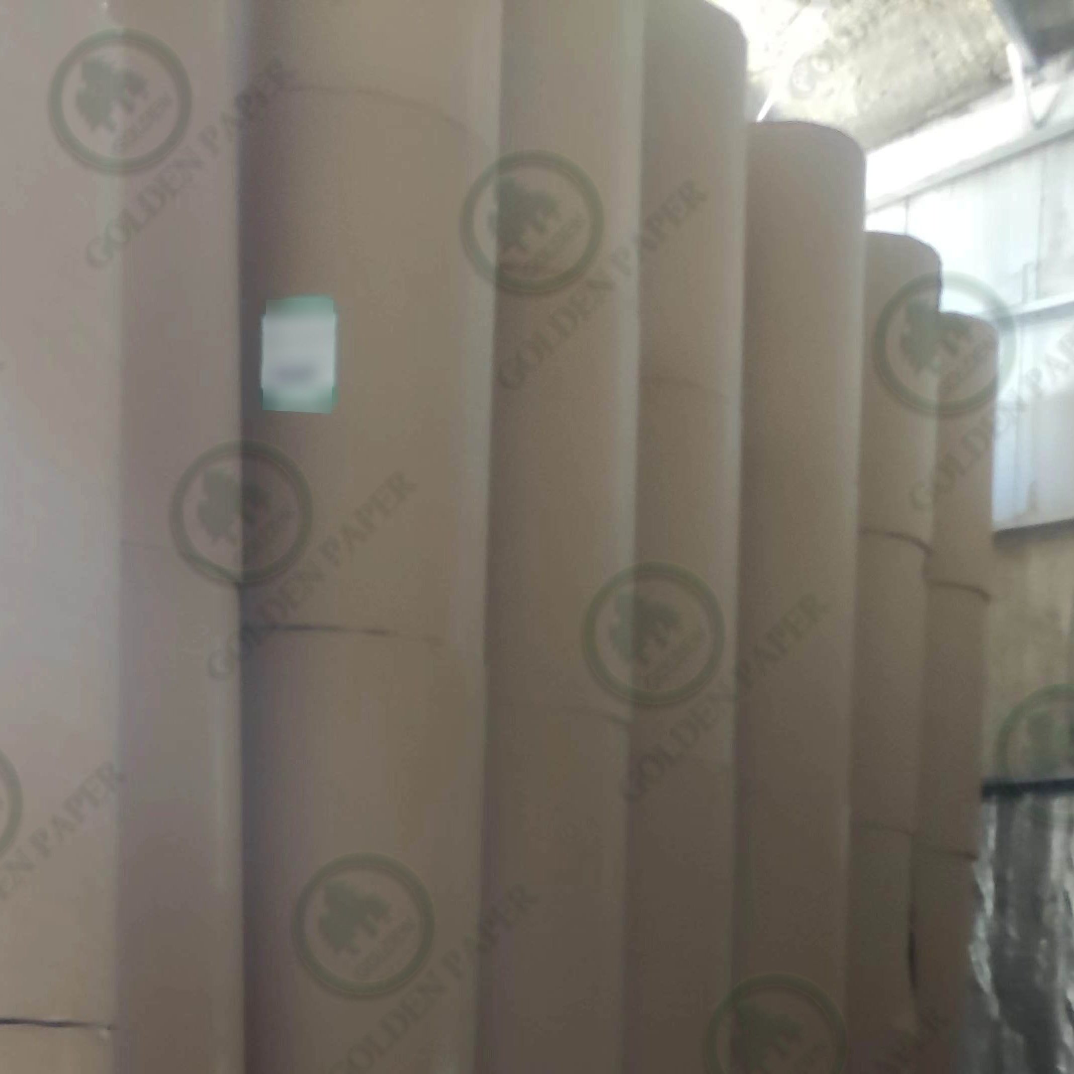 SBS White Paper Ivory Cardboard 250gsm 350gsm 400gsm packaging paper cardboard 300gsm