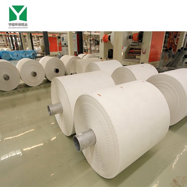 plastic paper stone paper paper factory supply
