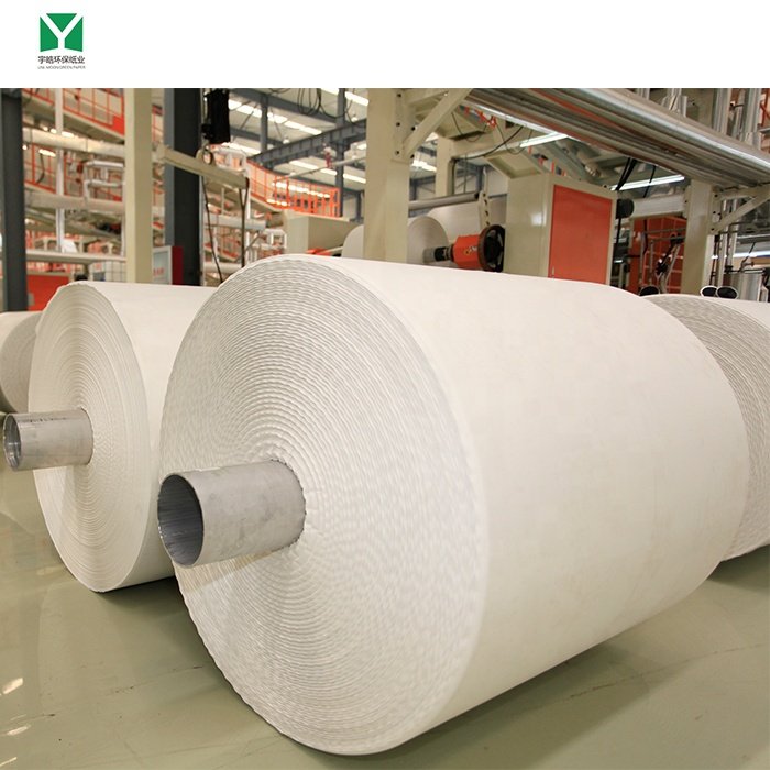plastic paper stone paper paper factory supply