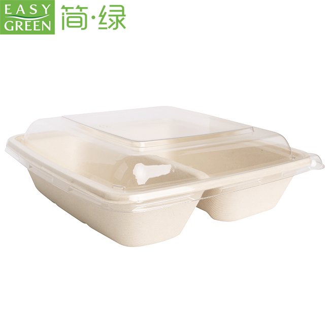 Compostable Take Out Food Containers with Clear Lid,Bagasse to Go Containers Rectangular Disposable Paper Bowls CS1000-2