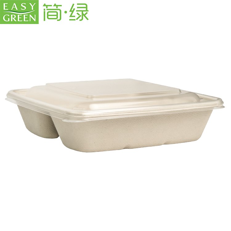 Compostable Take Out Food Containers with Clear Lid,Bagasse to Go Containers Rectangular Disposable Paper Bowls CS1000-2