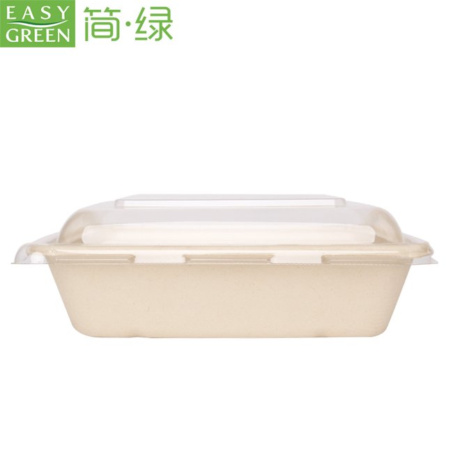 Compostable Take Out Food Containers with Clear Lid,Bagasse to Go Containers Rectangular Disposable Paper Bowls CS1000-2
