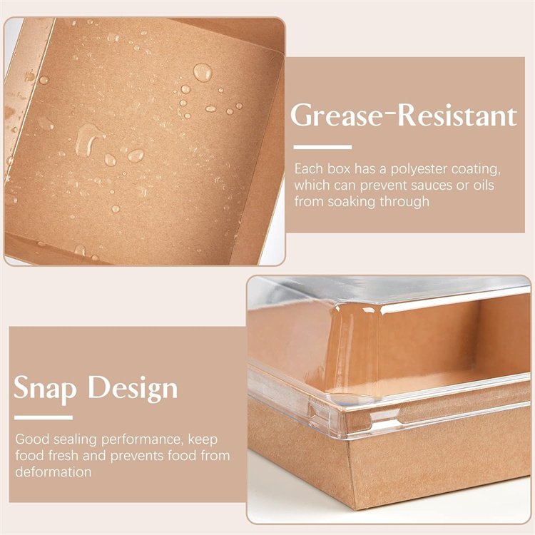 CustomPaper Charcuterie Boxes with Clear Lids Square Bakery Boxes To Go Food Containers for Desserts Sandwich Cake