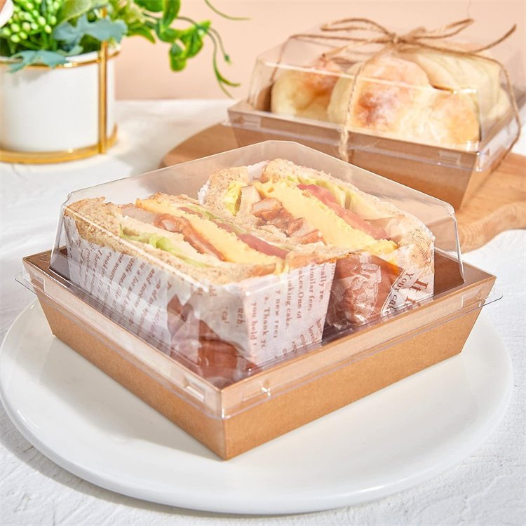 CustomPaper Charcuterie Boxes with Clear Lids Square Bakery Boxes To Go Food Containers for Desserts Sandwich Cake