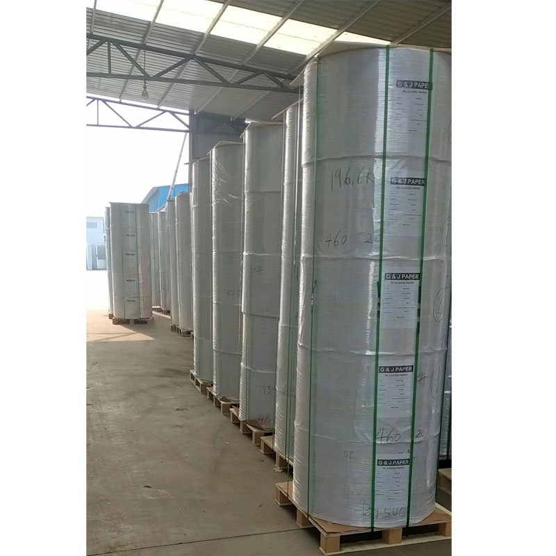 Environmental & biodegradable food grade White PE Coated Kraft Paper in roll