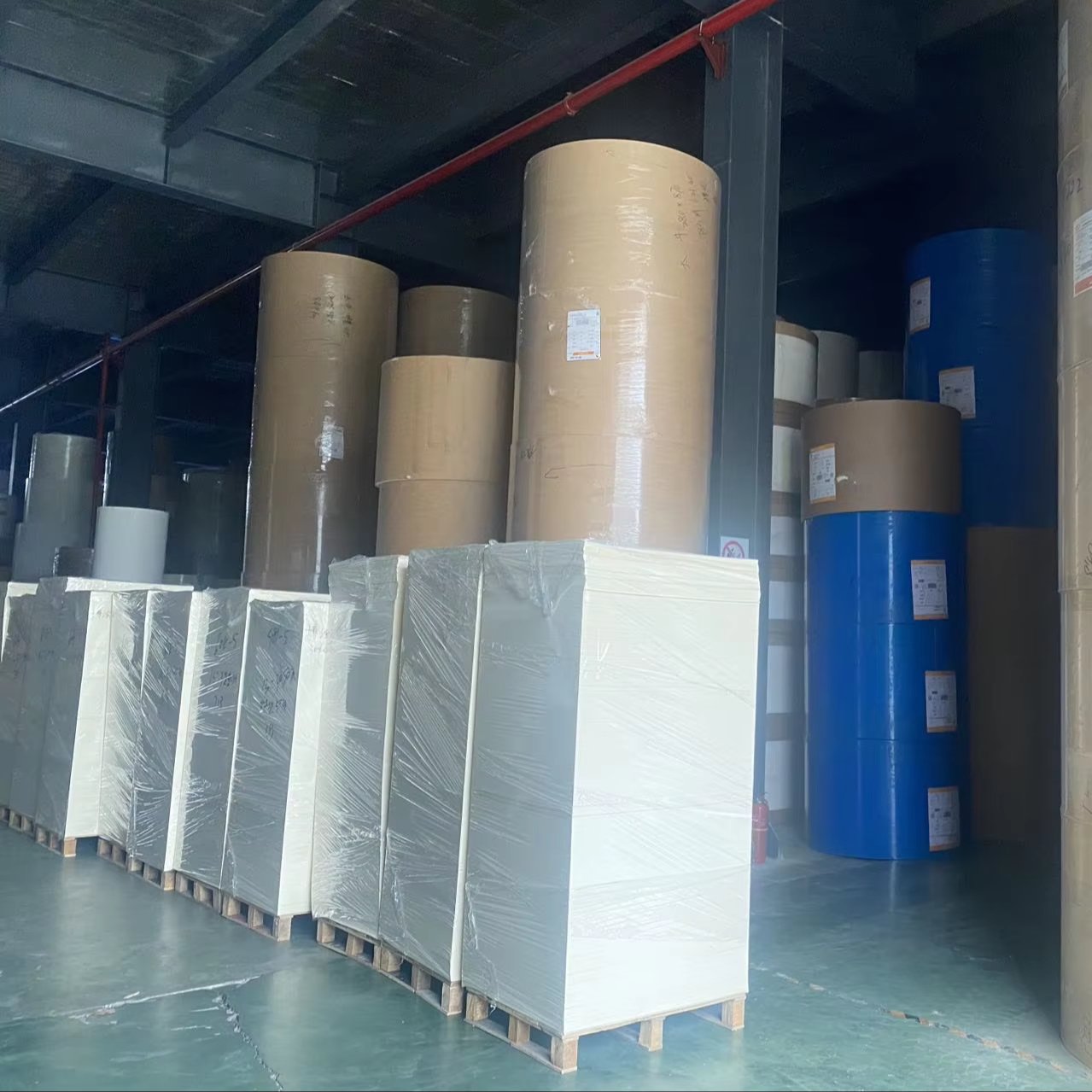 China factory PE Coated paper rolls raw material paper cups paper bowls