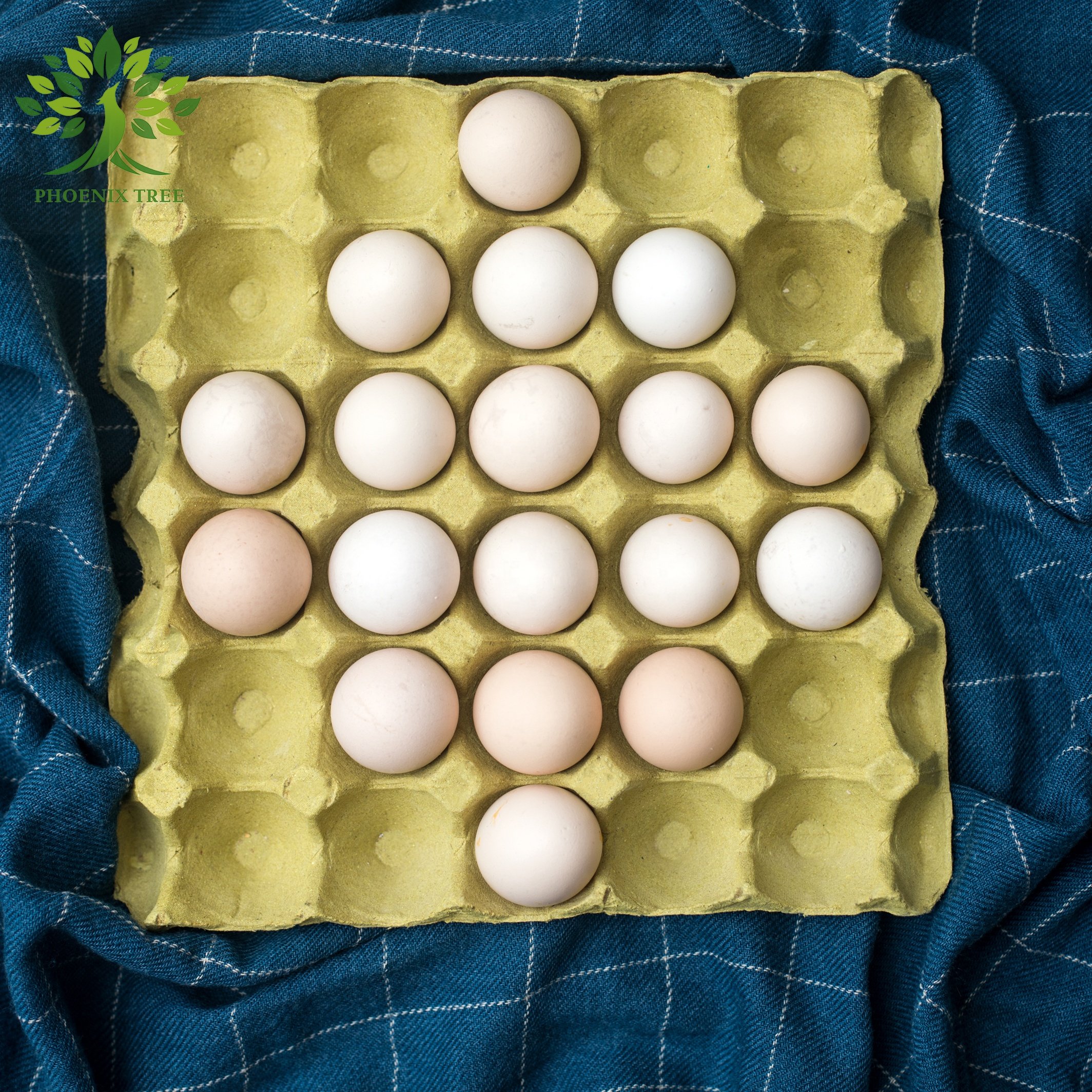 Egg Trays 30 Chicken Eggs Paper Pulp PTPACK Recycled Cardboard Egg Trays