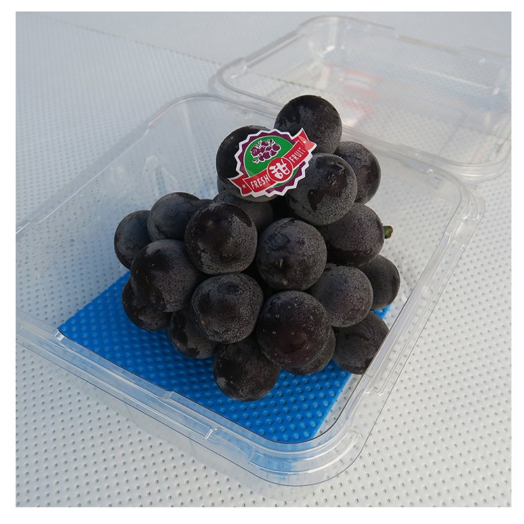 Wholesale Moisture Food Packaging Market Trays Liner Soaker Absorption Meat Pad for Sale absorbent meat pad spill