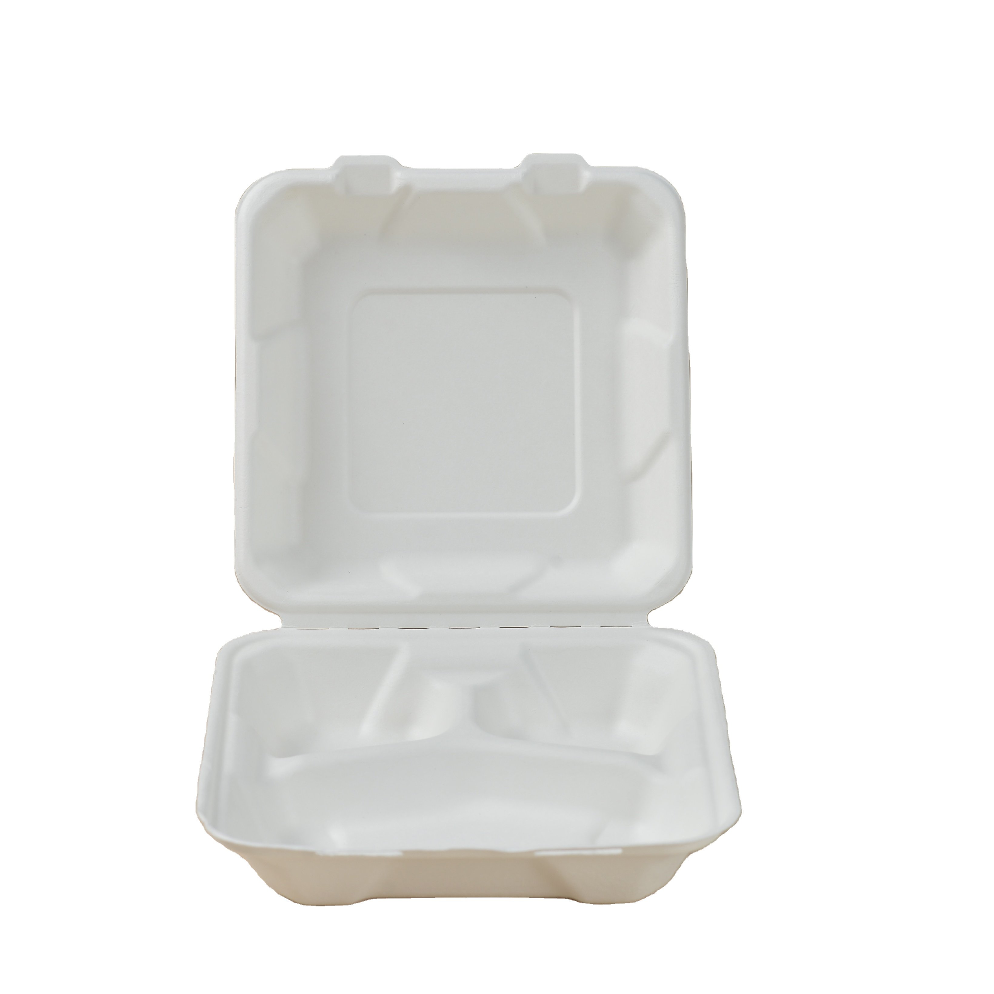 Best selling Bagasse Paper Food Containers 8inch 3 compartment Bagasse Food Bento Box