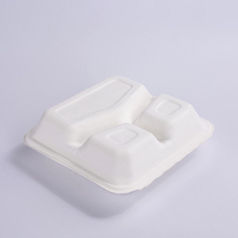Best selling Bagasse Paper Food Containers 8inch 3 compartment Bagasse Food Bento Box
