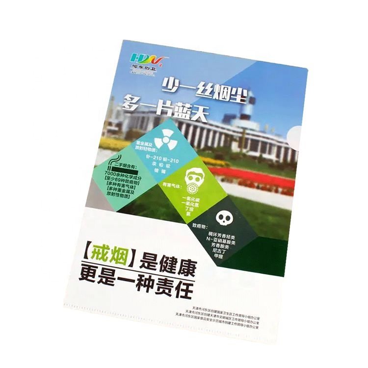 Wholesale A4 Colorful PP File Folders Document Folders for Business Office Packaging & Printing Products